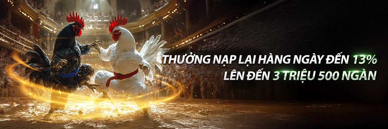 Hình ảnh tổng quan tin tức w9bet casino 2026